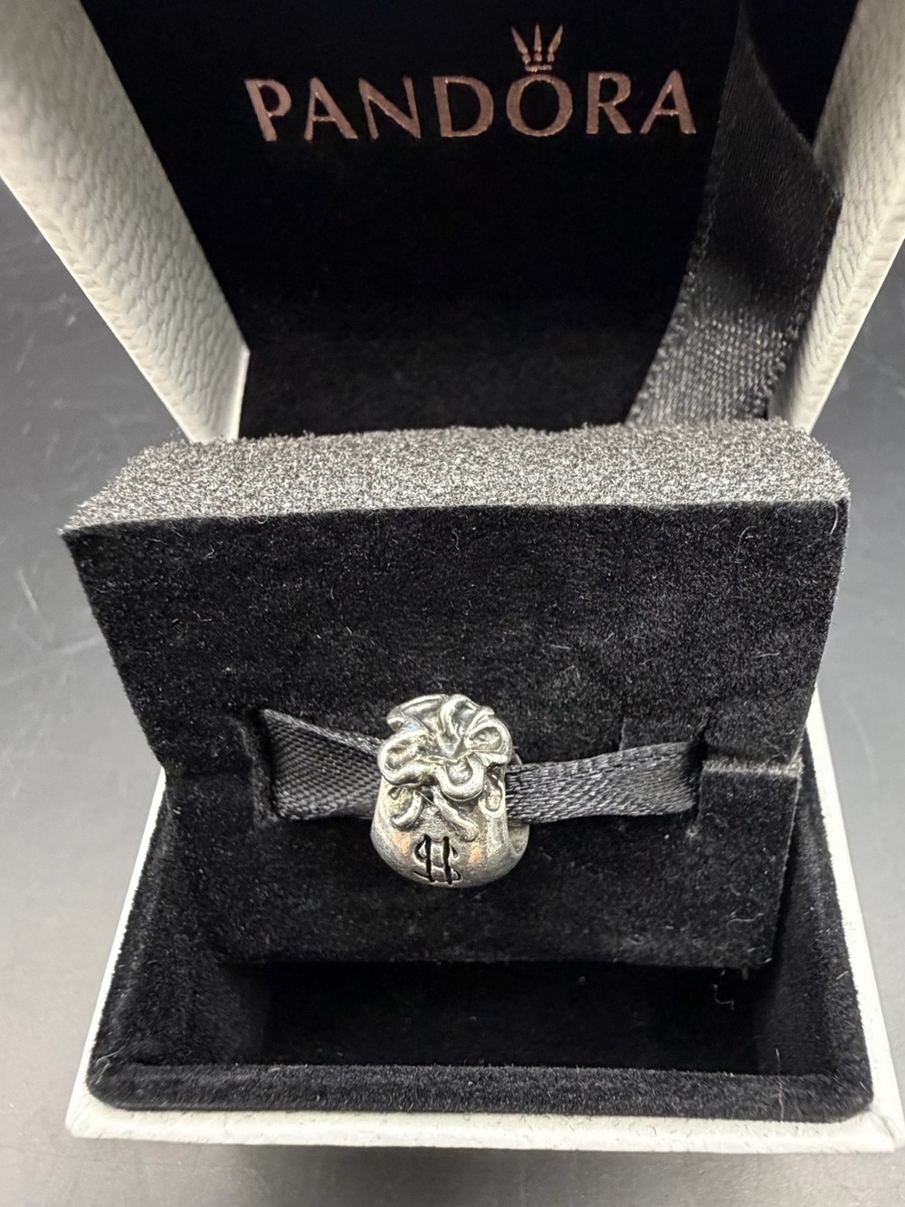 Silver Money Bag Charm – Dollar Sign Lucky Wealth Bead